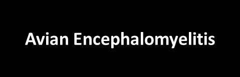 ICBH - AVIAN ENCEPHALOMYELITIS